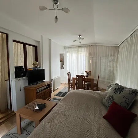 Apartment Dzoni Vrnjcka Banja