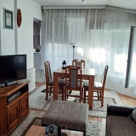 Dzoni Vrnjcka Banja Apartment *